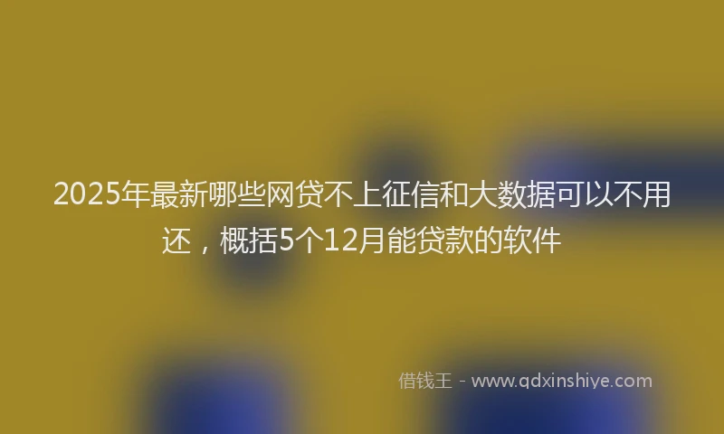 2025年最新哪些网贷不上征信和大数据可以不用还，概括5个12月能贷款的软件