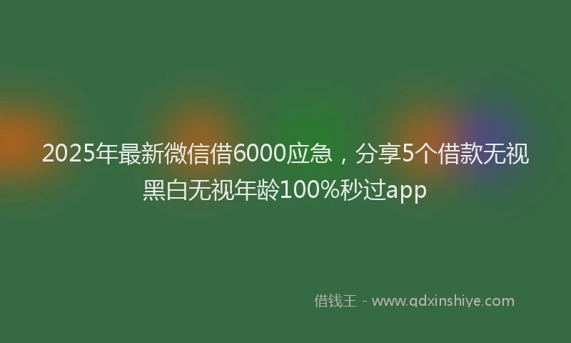 2025年最新微信借6000应急，分享5个借款无视黑白无视年龄100%秒过app