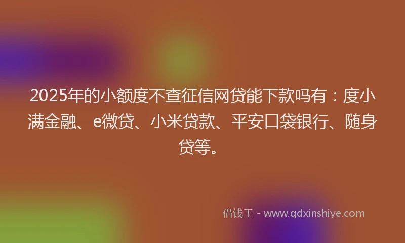 2025年的小额度不查征信网贷能下款吗有：度小满金融、e微贷、小米贷款、平安口袋银行、随身贷等。