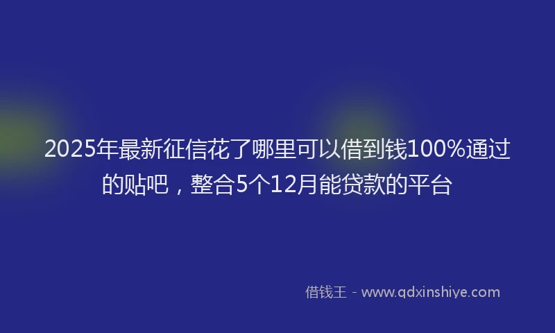 2025年最新征信花了哪里可以借到钱100%通过的贴吧，整合5个12月能贷款的平台