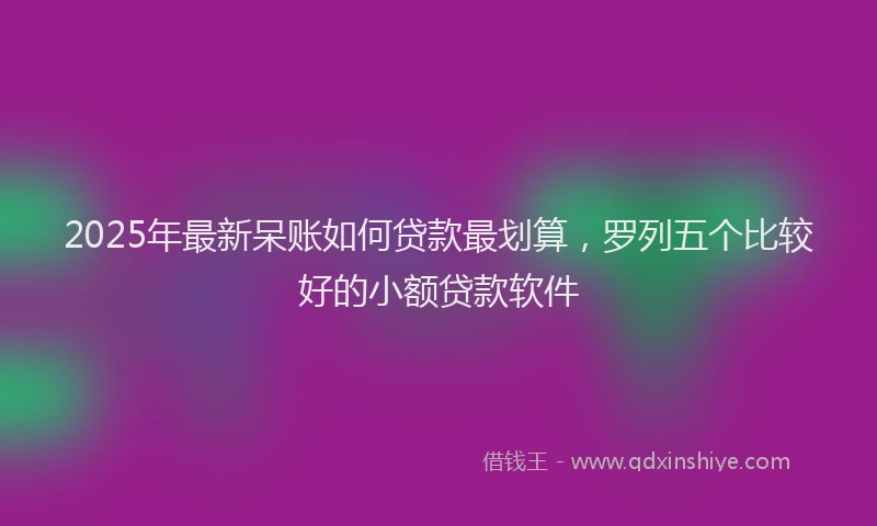 2025年最新呆账如何贷款最划算，罗列五个比较好的小额贷款软件