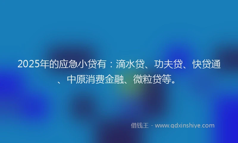 2025年的应急小贷有：滴水贷、功夫贷、快贷通、中原消费金融、微粒贷等。
