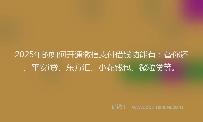 2025年的如何开通微信支付借钱功能有：替你还、平安i贷、东方汇、小花钱包、微粒贷等。