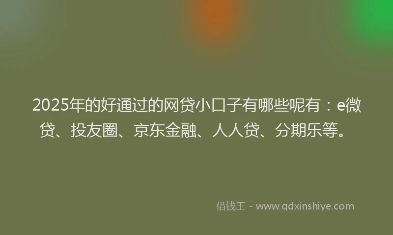 2025年的好通过的网贷小口子有哪些呢有：e微贷、投友圈、京东金融、人人贷、分期乐等。