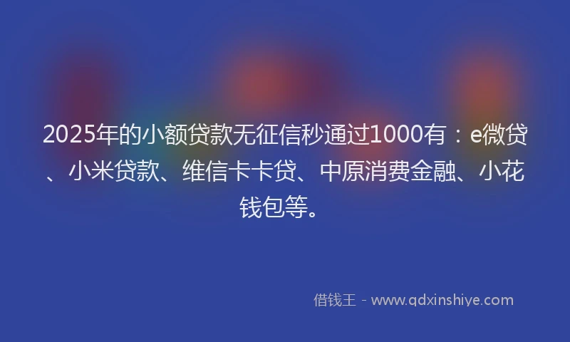 2025年的小额贷款无征信秒通过1000有：e微贷、小米贷款、维信卡卡贷、中原消费金融、小花钱包等。