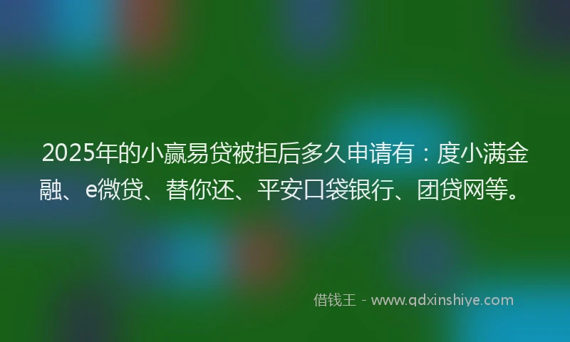 2025年的小赢易贷被拒后多久申请有：度小满金融、e微贷、替你还、平安口袋银行、团贷网等。