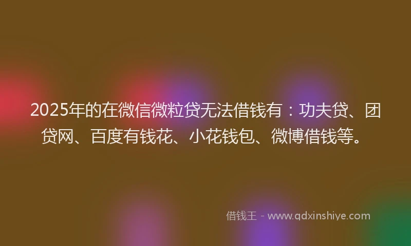 2025年的在微信微粒贷无法借钱有：功夫贷、团贷网、百度有钱花、小花钱包、微博借钱等。