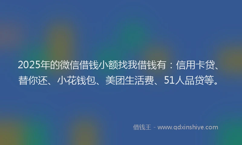 2025年的微信借钱小额找我借钱有：信用卡贷、替你还、小花钱包、美团生活费、51人品贷等。