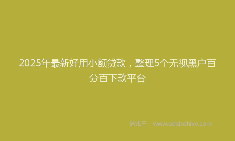 2025年最新好用小额贷款，整理5个无视黑户百分百下款平台