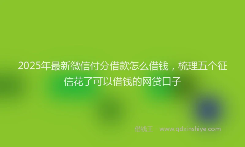 2025年最新微信付分借款怎么借钱，梳理五个征信花了可以借钱的网贷口子