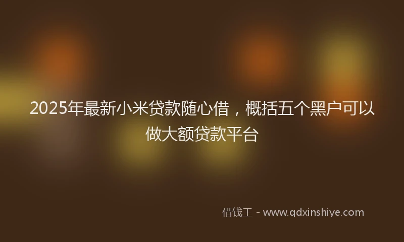 2025年最新小米贷款随心借，概括五个黑户可以做大额贷款平台