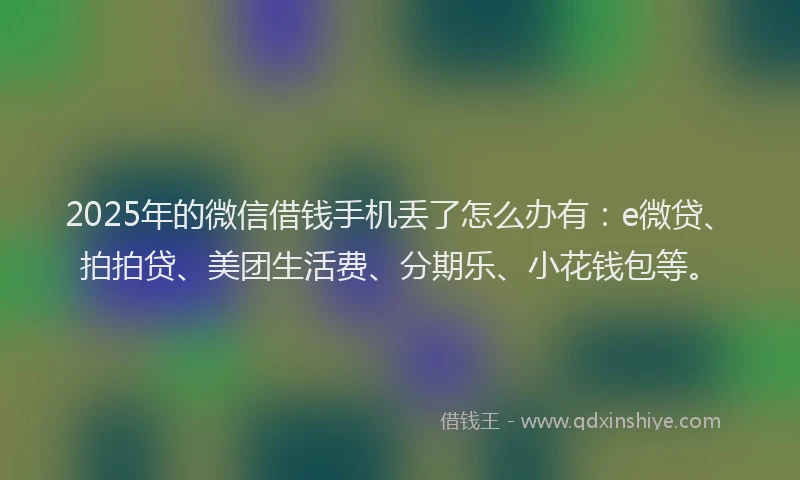 2025年的微信借钱手机丢了怎么办有：e微贷、拍拍贷、美团生活费、分期乐、小花钱包等。
