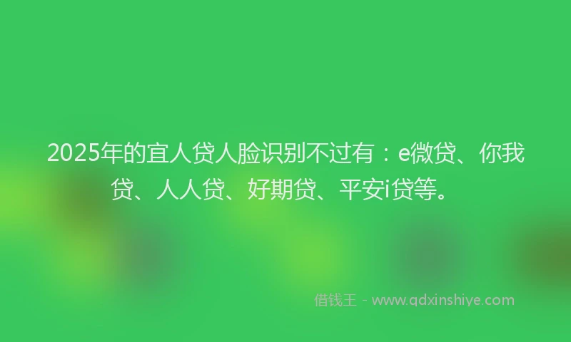2025年的宜人贷人脸识别不过有：e微贷、你我贷、人人贷、好期贷、平安i贷等。