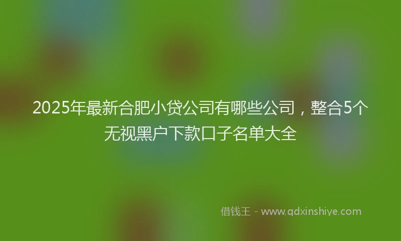 2025年最新合肥小贷公司有哪些公司，整合5个无视黑户下款口子名单大全