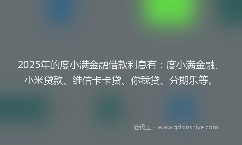 2025年的度小满金融借款利息有：度小满金融、小米贷款、维信卡卡贷、你我贷、分期乐等。