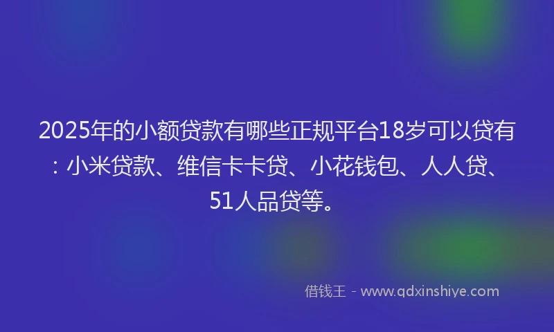 2025年的小额贷款有哪些正规平台18岁可以贷有：小米贷款、维信卡卡贷、小花钱包、人人贷、51人品贷等。