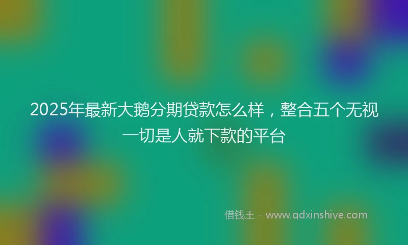 2025年最新大鹅分期贷款怎么样，整合五个无视一切是人就下款的平台
