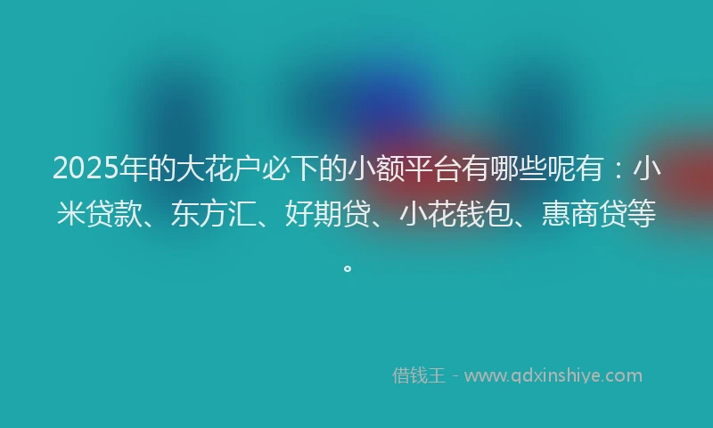 2025年的大花户必下的小额平台有哪些呢有：小米贷款、东方汇、好期贷、小花钱包、惠商贷等。