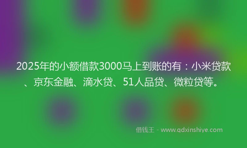 2025年的小额借款3000马上到账的有：小米贷款、京东金融、滴水贷、51人品贷、微粒贷等。