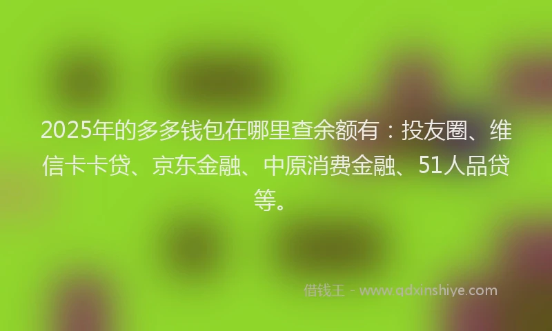 2025年的多多钱包在哪里查余额有：投友圈、维信卡卡贷、京东金融、中原消费金融、51人品贷等。