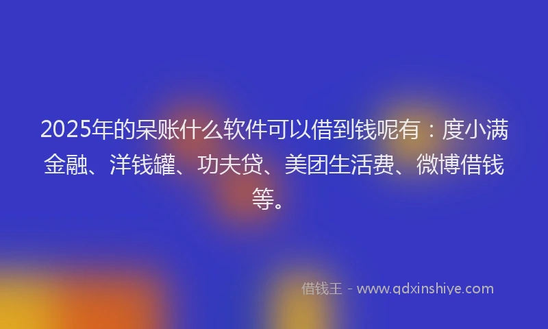 2025年的呆账什么软件可以借到钱呢有：度小满金融、洋钱罐、功夫贷、美团生活费、微博借钱等。