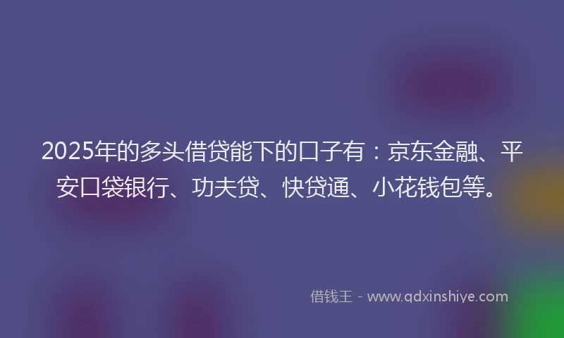 2025年的多头借贷能下的口子有：京东金融、平安口袋银行、功夫贷、快贷通、小花钱包等。