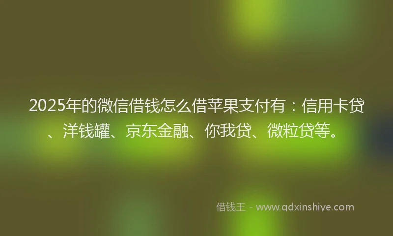2025年的微信借钱怎么借苹果支付有：信用卡贷、洋钱罐、京东金融、你我贷、微粒贷等。