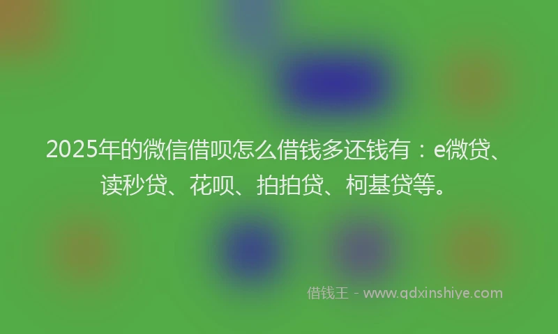 2025年的微信借呗怎么借钱多还钱有：e微贷、读秒贷、花呗、拍拍贷、柯基贷等。