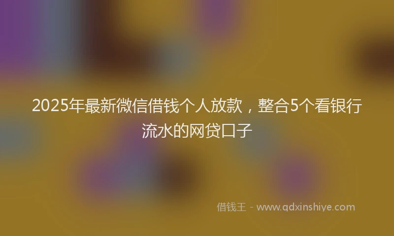 2025年最新微信借钱个人放款，整合5个看银行流水的网贷口子