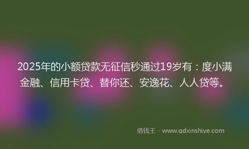 2025年的小额贷款无征信秒通过19岁有：度小满金融、信用卡贷、替你还、安逸花、人人贷等。