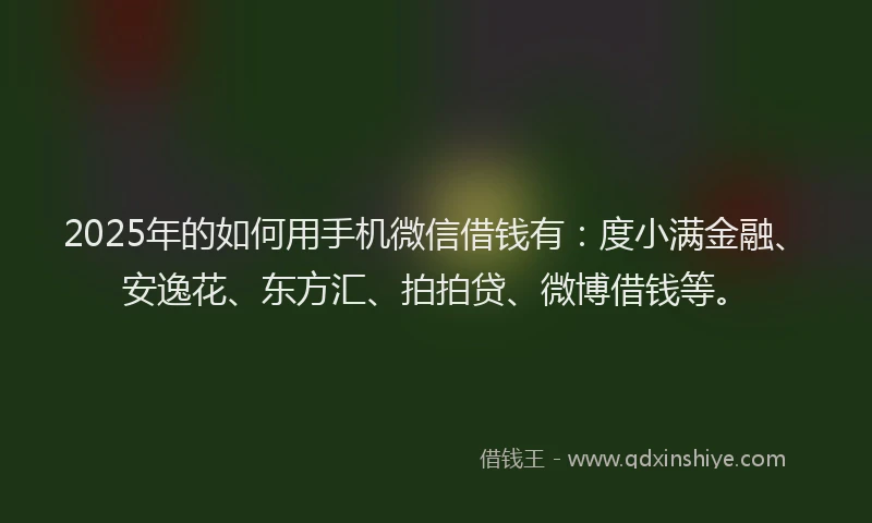 2025年的如何用手机微信借钱有：度小满金融、安逸花、东方汇、拍拍贷、微博借钱等。