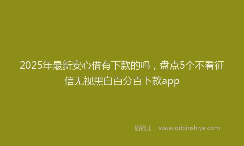 2025年最新安心借有下款的吗，盘点5个不看征信无视黑白百分百下款app