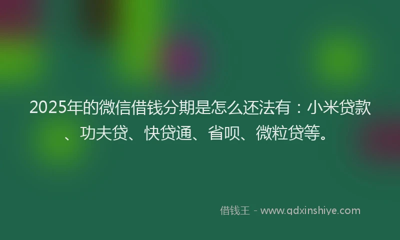 2025年的微信借钱分期是怎么还法有：小米贷款、功夫贷、快贷通、省呗、微粒贷等。