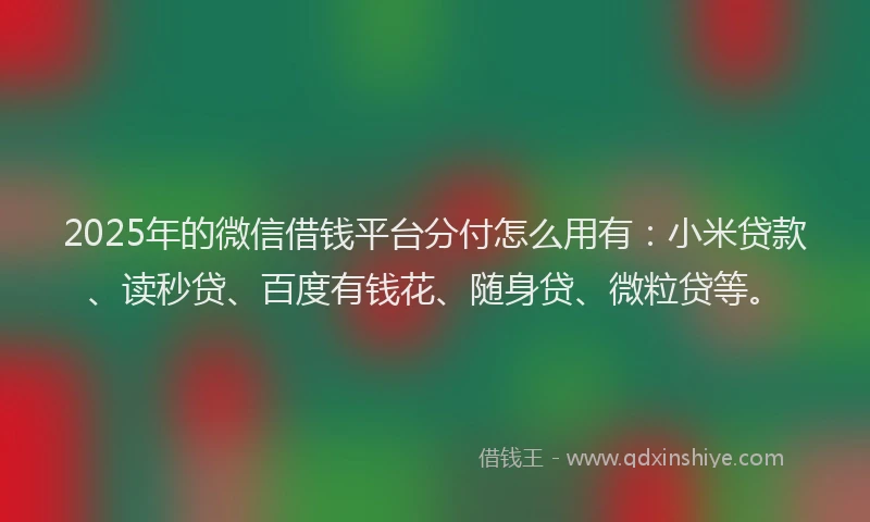 2025年的微信借钱平台分付怎么用有：小米贷款、读秒贷、百度有钱花、随身贷、微粒贷等。