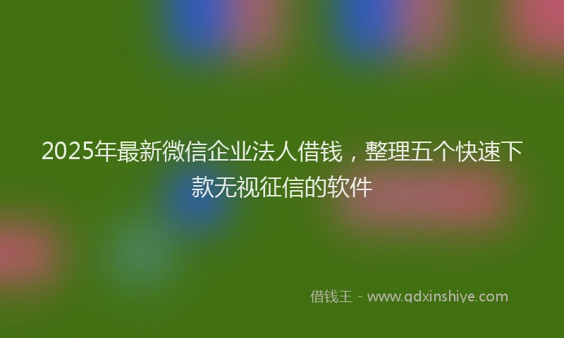 2025年最新微信企业法人借钱，整理五个快速下款无视征信的软件