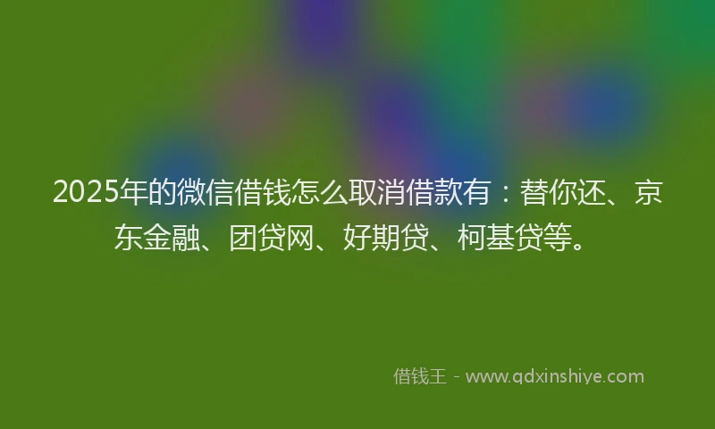 2025年的微信借钱怎么取消借款有：替你还、京东金融、团贷网、好期贷、柯基贷等。