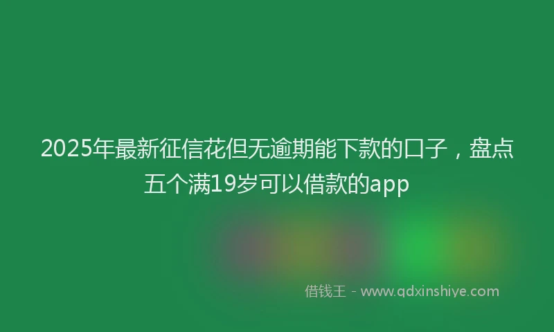 2025年最新征信花但无逾期能下款的口子，盘点五个满19岁可以借款的app
