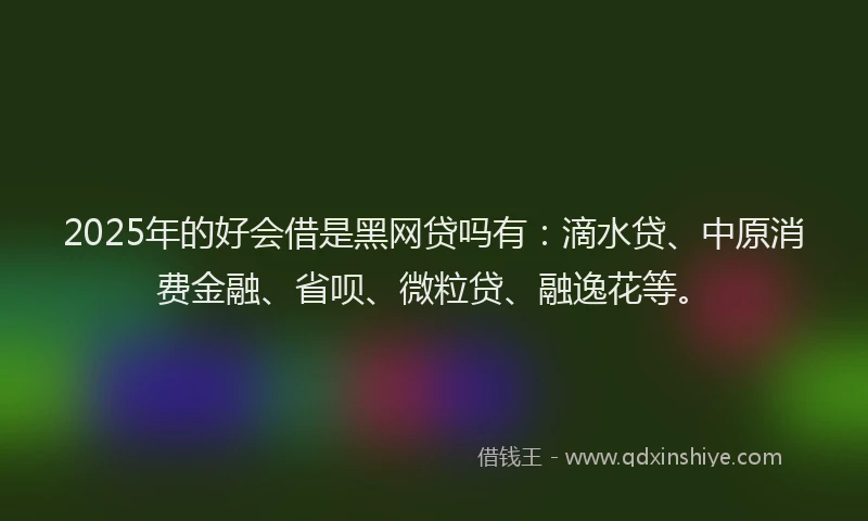 2025年的好会借是黑网贷吗有：滴水贷、中原消费金融、省呗、微粒贷、融逸花等。