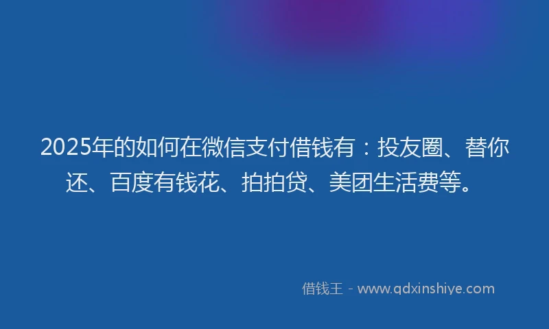 2025年的如何在微信支付借钱有：投友圈、替你还、百度有钱花、拍拍贷、美团生活费等。