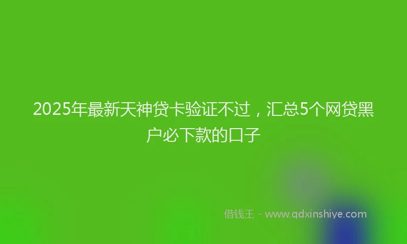 2025年最新天神贷卡验证不过，汇总5个网贷黑户必下款的口子