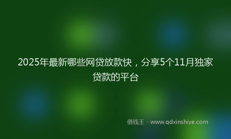 2025年最新哪些网贷放款快，分享5个11月独家贷款的平台