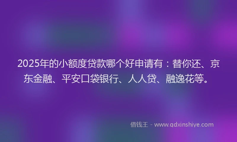 2025年的小额度贷款哪个好申请有：替你还、京东金融、平安口袋银行、人人贷、融逸花等。