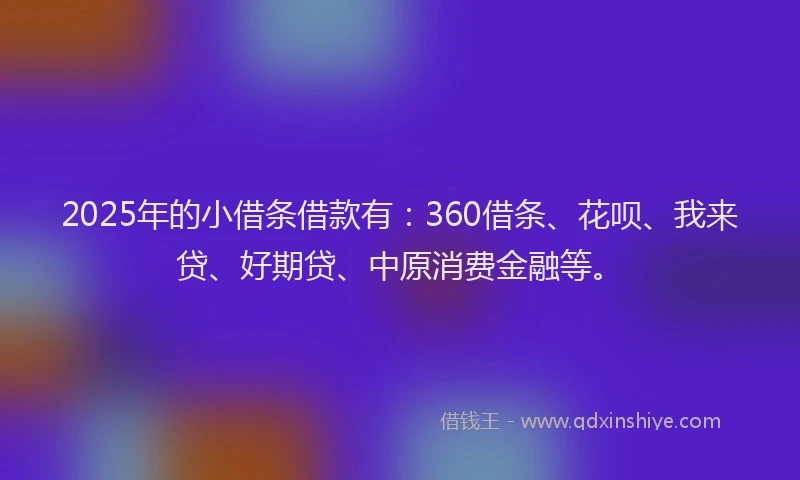 2025年的小借条借款有：360借条、花呗、我来贷、好期贷、中原消费金融等。
