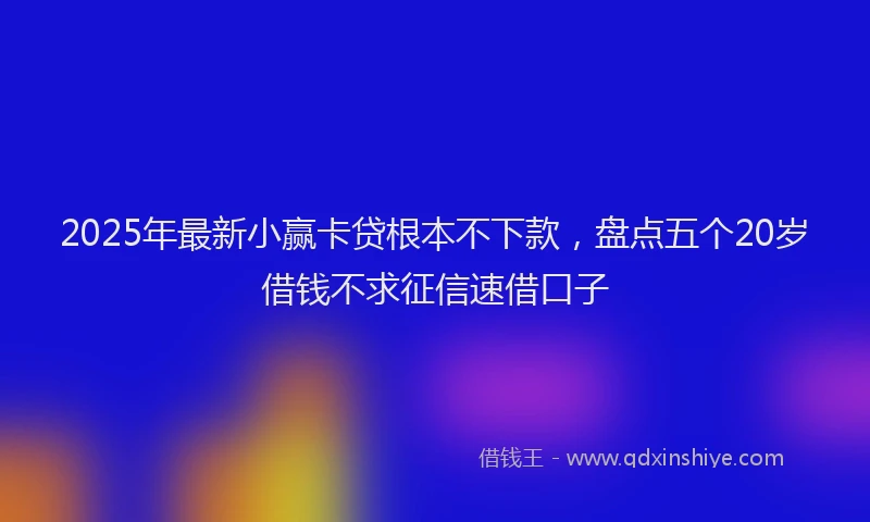2025年最新小赢卡贷根本不下款，盘点五个20岁借钱不求征信速借口子