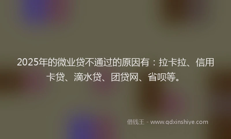 2025年的微业贷不通过的原因有：拉卡拉、信用卡贷、滴水贷、团贷网、省呗等。