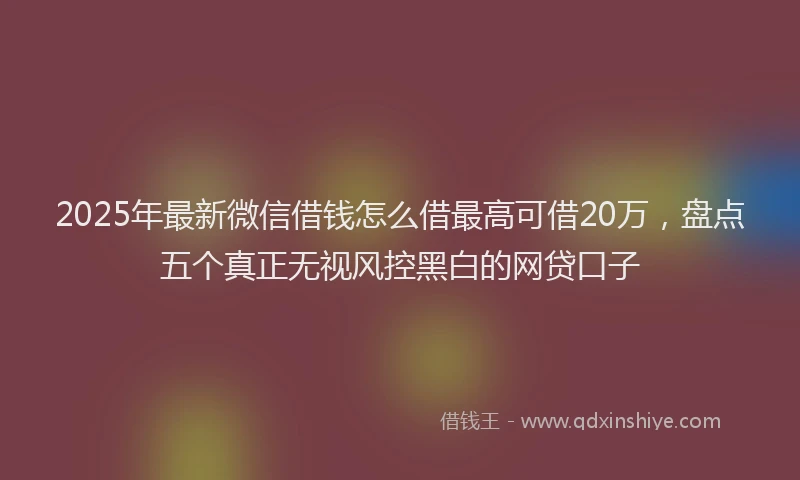2025年最新微信借钱怎么借最高可借20万，盘点五个真正无视风控黑白的网贷口子
