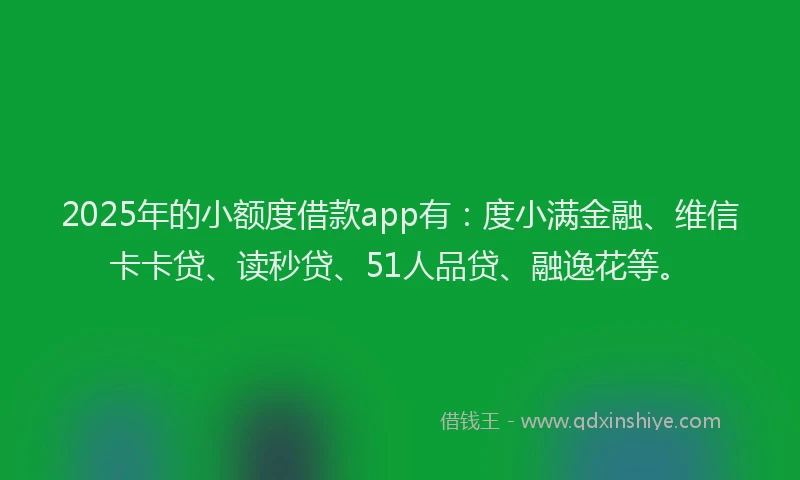 2025年的小额度借款app有：度小满金融、维信卡卡贷、读秒贷、51人品贷、融逸花等。