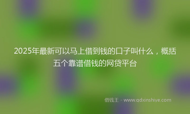 2025年最新可以马上借到钱的口子叫什么，概括五个靠谱借钱的网贷平台