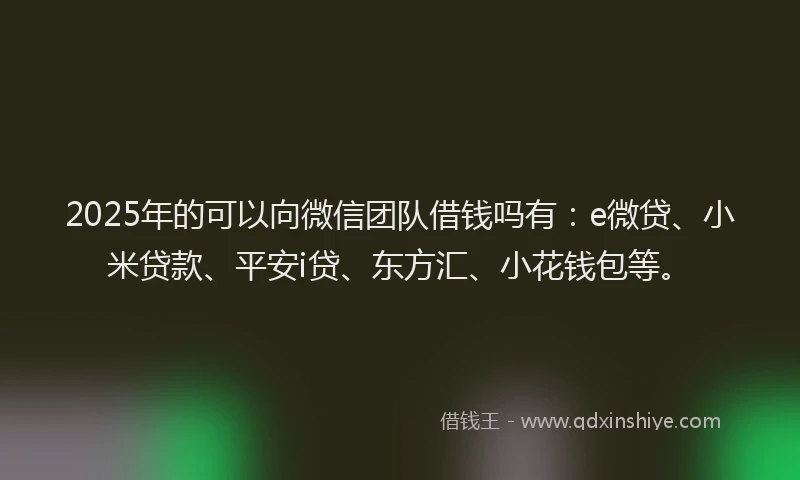 2025年的可以向微信团队借钱吗有：e微贷、小米贷款、平安i贷、东方汇、小花钱包等。