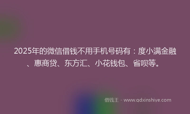 2025年的微信借钱不用手机号码有：度小满金融、惠商贷、东方汇、小花钱包、省呗等。